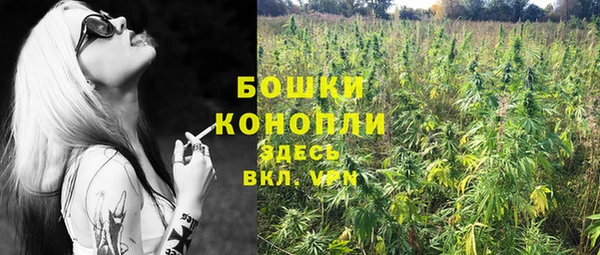 бошки Богородицк