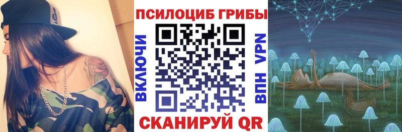 Псилоцибиновые грибы Cubensis Мариинский Посад